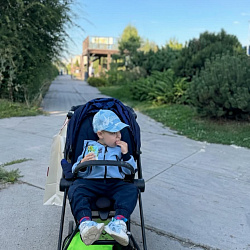 Прокат прогулочная коляска Cybex MIOS Омск